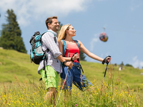 wandern wald koenigsleiten 02