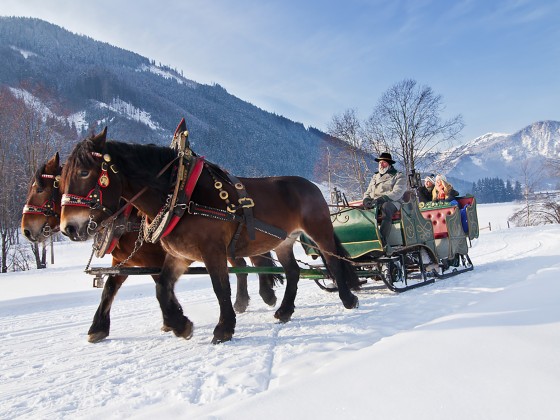 zillertal koenigsleiten winter pferdekuschenfahrt