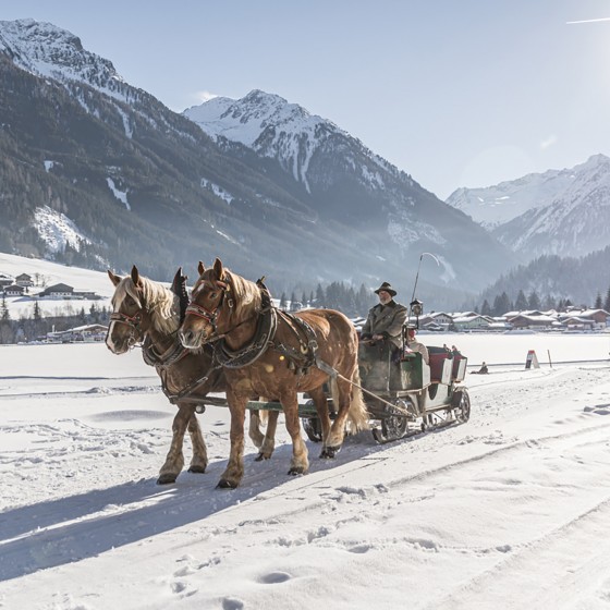 zillertal koenigsleiten winter pferdeschlitten