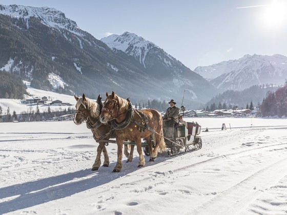 zillertal koenigsleiten winter pferdeschlitten